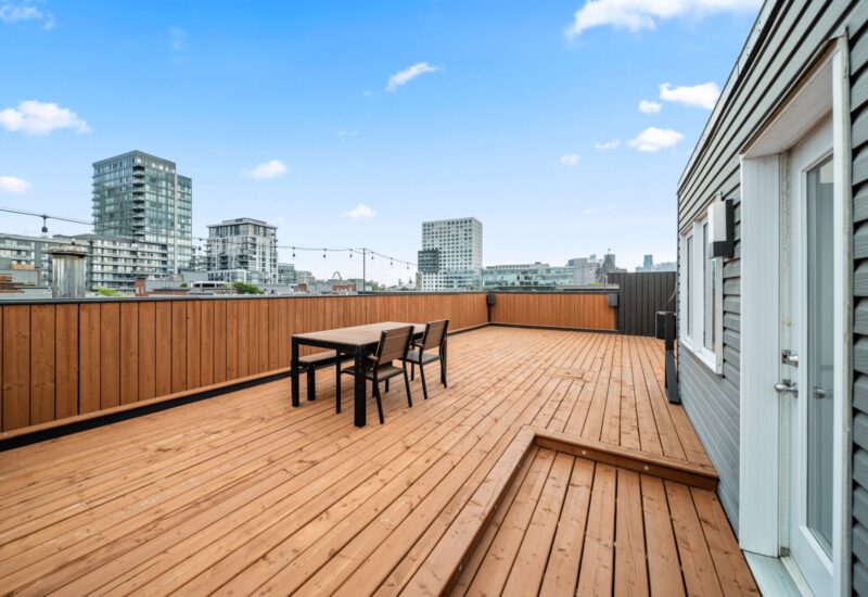 849 Rue St-Timothée Montréal (Ville-Marie) (Montréal)