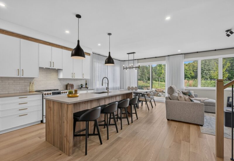 830 Allée du Géant #F Mont-Tremblant (Laurentides)