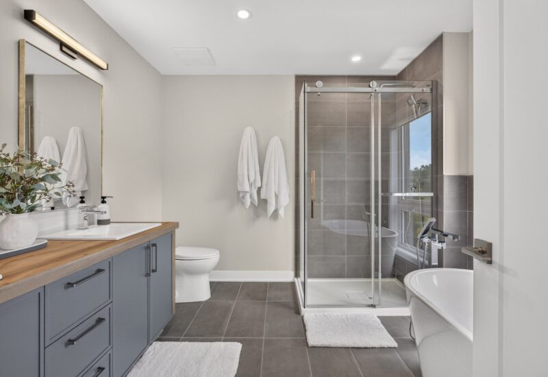 830 Allée du Géant #F Mont-Tremblant (Laurentides)