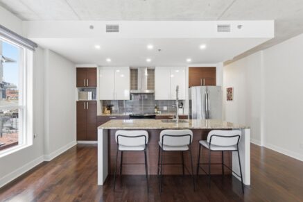 1811 Rue William #216 Montréal (Le Sud-Ouest) (Montréal)