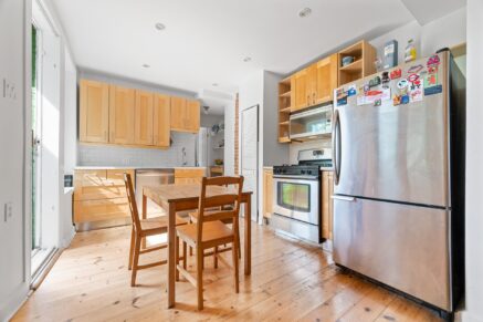 4244 Rue Berri Montréal (Le Plateau-Mont-Royal) (Montréal)