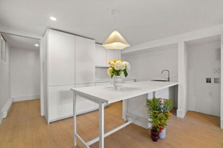 5314 Av. Papineau #1 Montréal (Le Plateau-Mont-Royal) (Montréal)