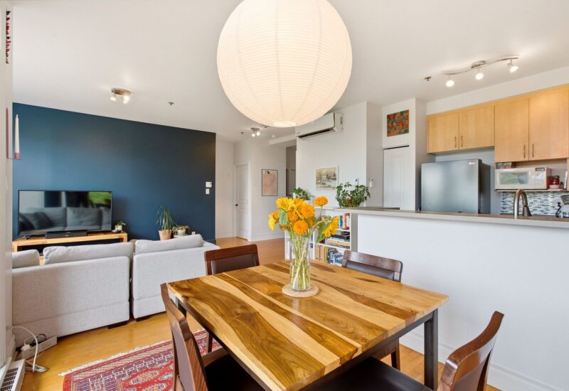 1321 Rue St-Grégoire #301 Montréal (Le Plateau-Mont-Royal) (Montréal)