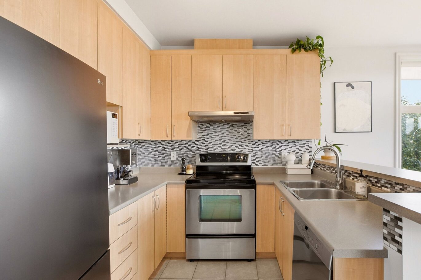 1321 Rue St-Grégoire #301 Montréal (Le Plateau-Mont-Royal) (Montréal)