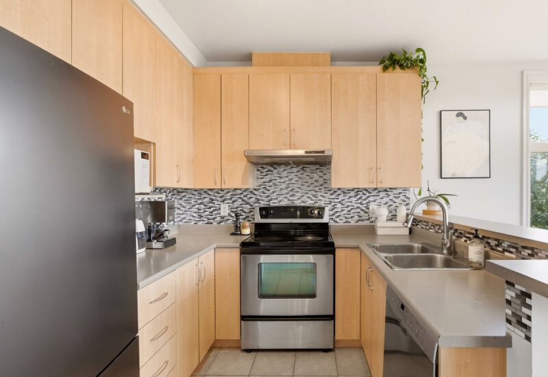 1321 Rue St-Grégoire #301 Montréal (Le Plateau-Mont-Royal) (Montréal)