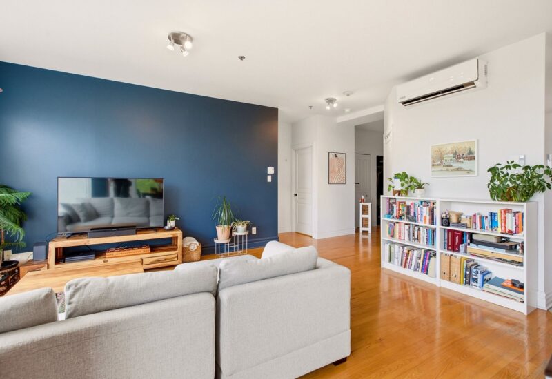 1321 Rue St-Grégoire #301 Montréal (Le Plateau-Mont-Royal) (Montréal)