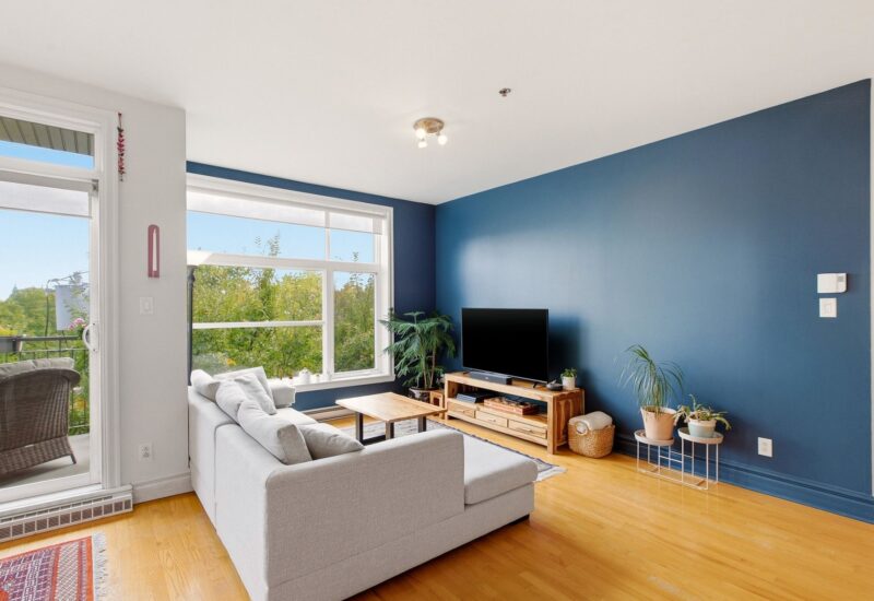 1321 Rue St-Grégoire #301 Montréal (Le Plateau-Mont-Royal) (Montréal)