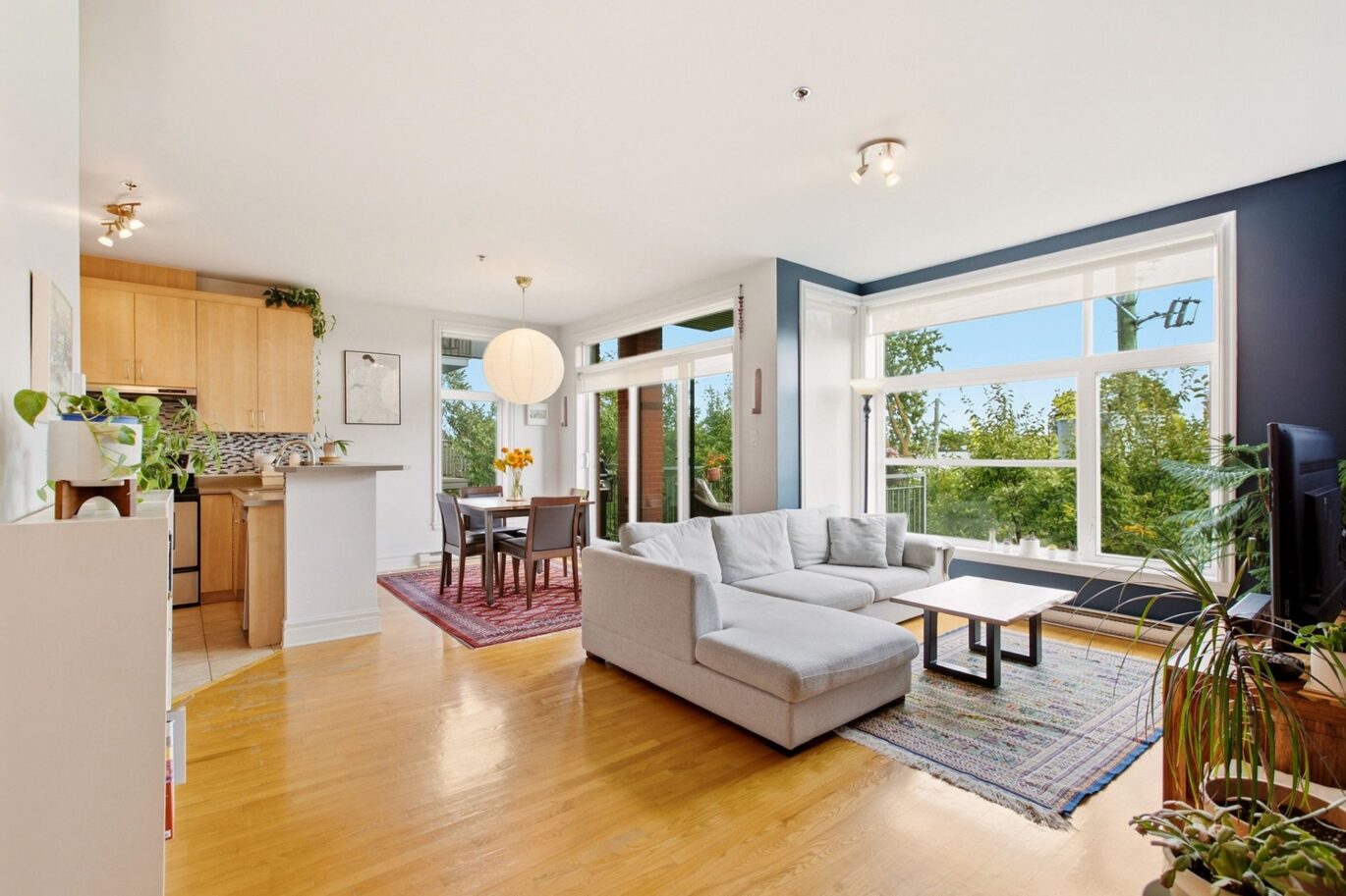 1321 Rue St-Grégoire #301 Montréal (Le Plateau-Mont-Royal) (Montréal)