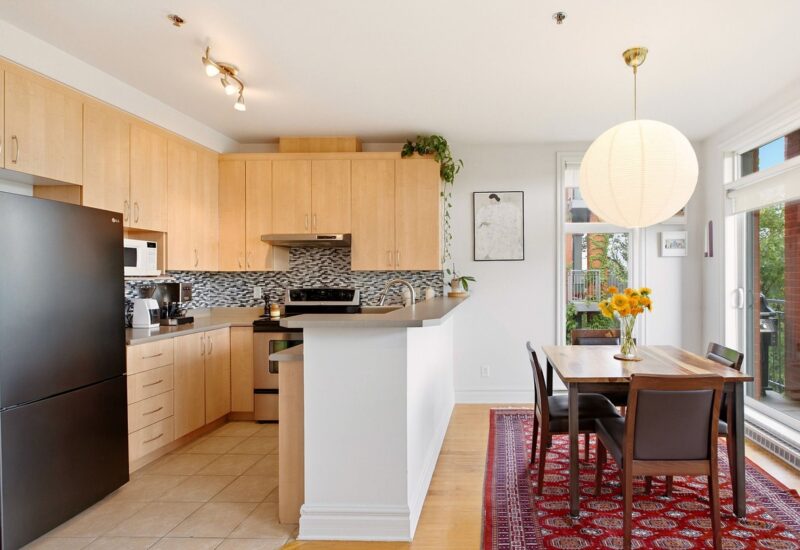 1321 Rue St-Grégoire #301 Montréal (Le Plateau-Mont-Royal) (Montréal)