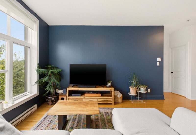 1321 Rue St-Grégoire #301 Montréal (Le Plateau-Mont-Royal) (Montréal)