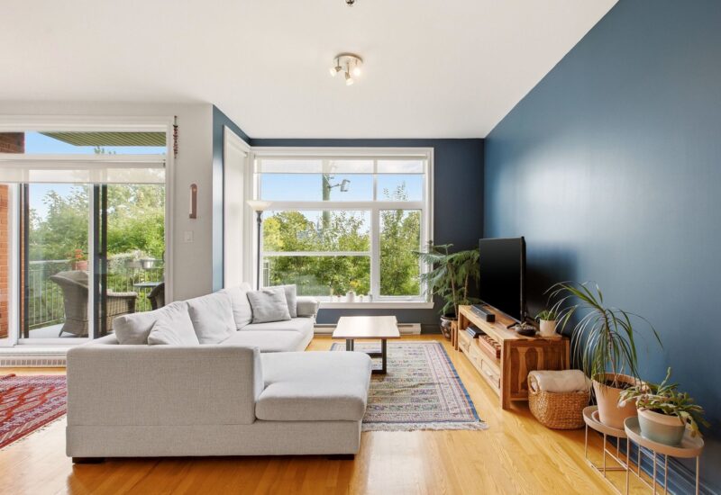 1321 Rue St-Grégoire #301 Montréal (Le Plateau-Mont-Royal) (Montréal)