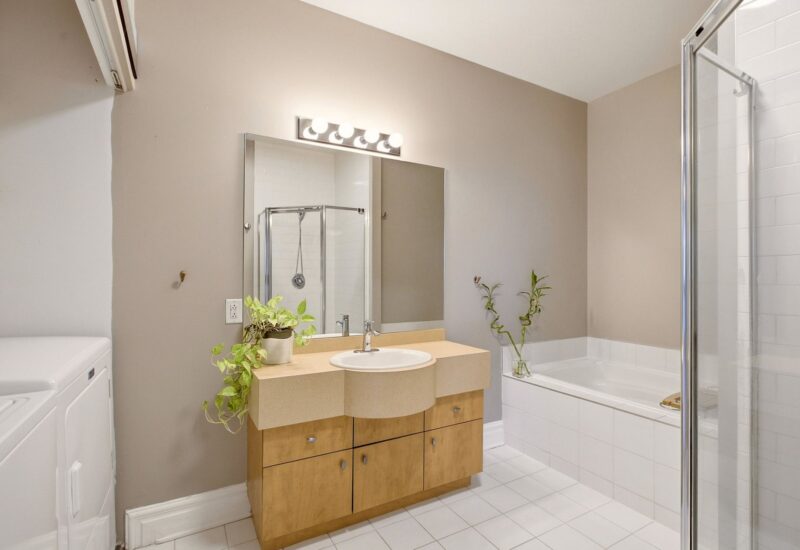 1321 Rue St-Grégoire #301 Montréal (Le Plateau-Mont-Royal) (Montréal)