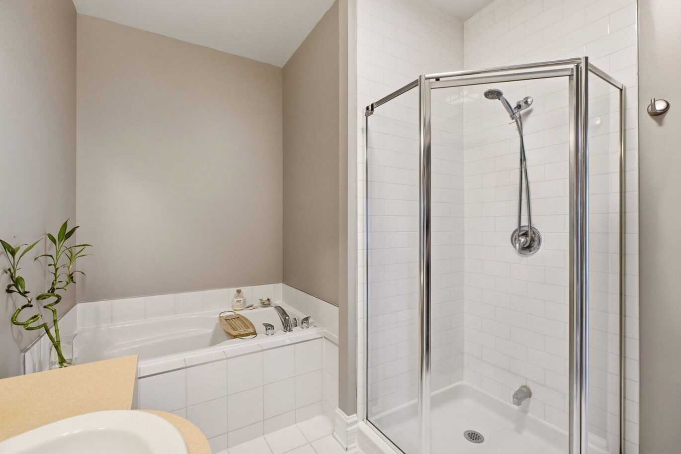 1321 Rue St-Grégoire #301 Montréal (Le Plateau-Mont-Royal) (Montréal)