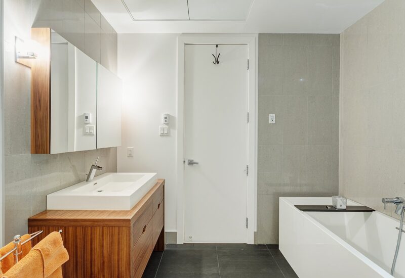1070 Rue De Bleury #308 Montréal (Ville-Marie) (Montréal)