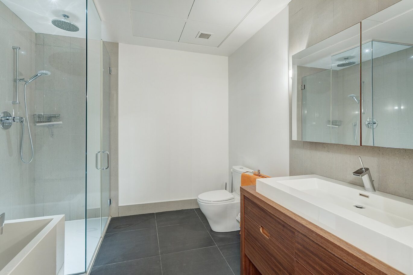1070 Rue De Bleury #308 Montréal (Ville-Marie) (Montréal)