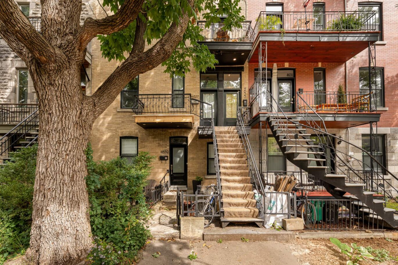4635 Rue Boyer #4635 RUE Montréal (Le Plateau-Mont-Royal) (Montréal)
