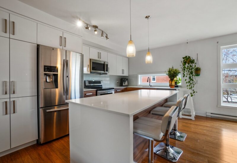 4775 Av. Papineau #307 Montréal (Le Plateau-Mont-Royal) (Montréal)