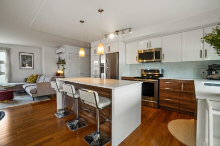 4775 Av. Papineau #307 Montréal (Le Plateau-Mont-Royal) (Montréal)
