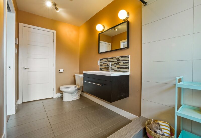 4775 Av. Papineau #307 Montréal (Le Plateau-Mont-Royal) (Montréal)