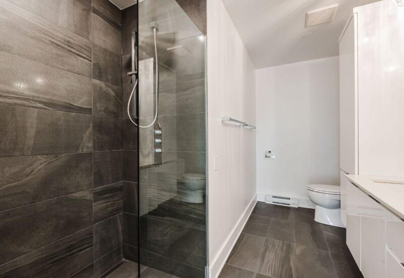 1450 Rue Island #310 Montréal (Le Sud-Ouest) (Montréal)