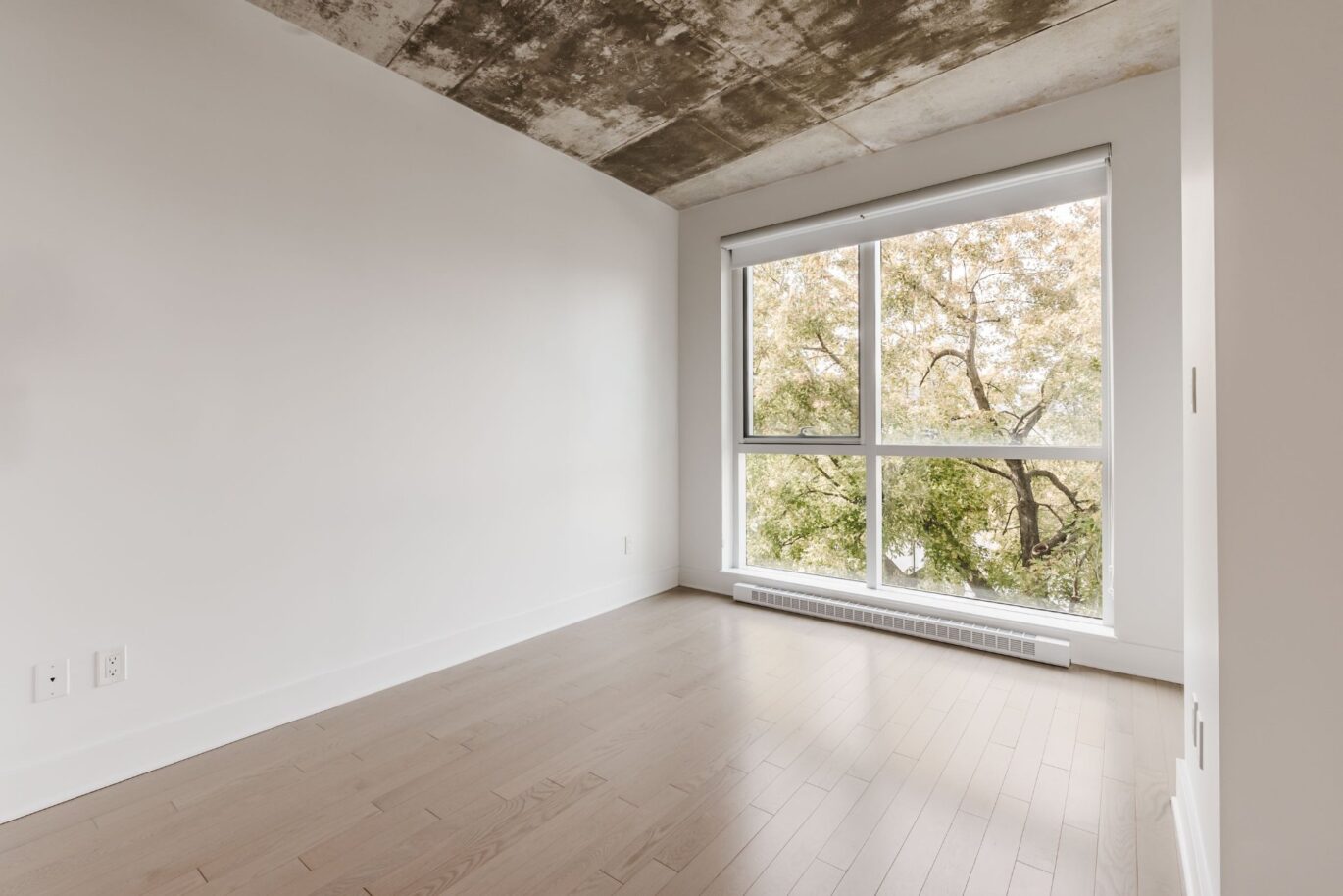 1450 Rue Island #310 Montréal (Le Sud-Ouest) (Montréal)