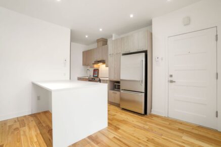 5312 Av. Papineau #1 Montréal (Le Plateau-Mont-Royal) (Montréal)