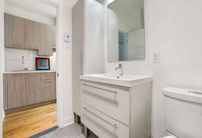 5312 Av. Papineau #1 Montréal (Le Plateau-Mont-Royal) (Montréal)