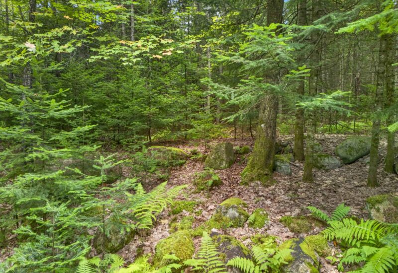 3 – 3 Rue des Golfeurs Sainte-Marguerite-du-Lac-Masson (Laurentides)