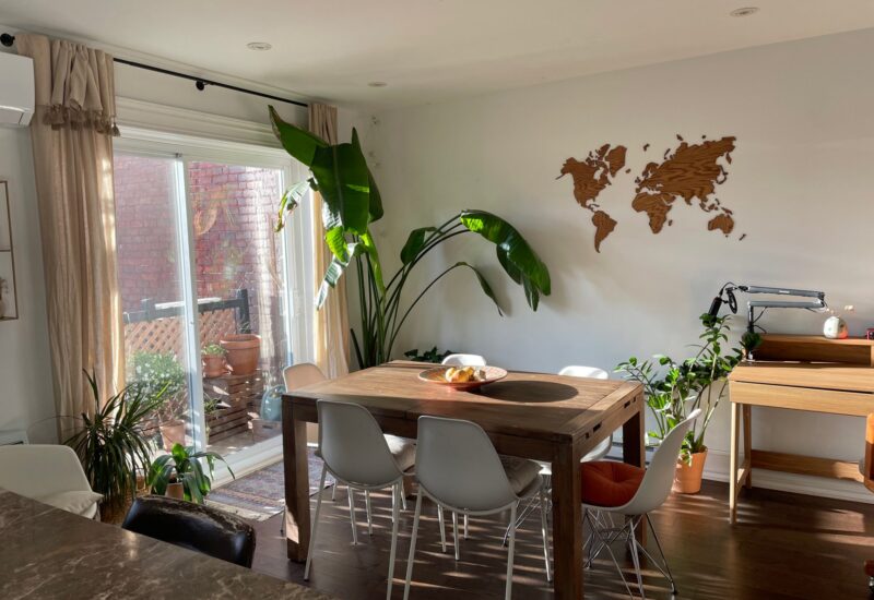 4267 Rue Ontario E. Montréal (Mercier/Hochelaga-Maisonneuve) (Montréal)