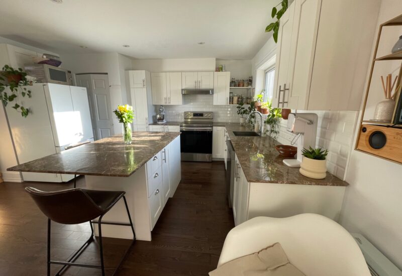 4267 Rue Ontario E. Montréal (Mercier/Hochelaga-Maisonneuve) (Montréal)