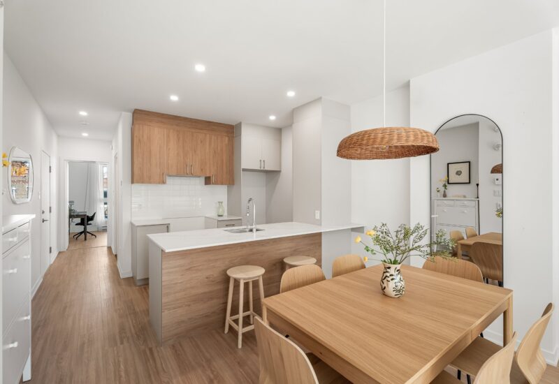 6836 Rue Marquette #1 Montréal (Rosemont/La Petite-Patrie) (Montréal)