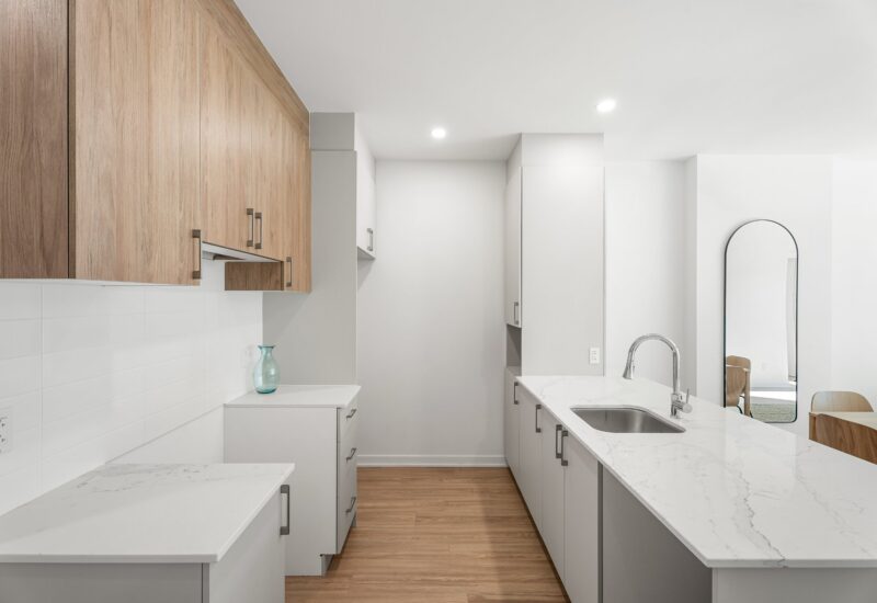 6836 Rue Marquette #1 Montréal (Rosemont/La Petite-Patrie) (Montréal)