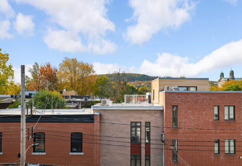 4098 – 4100 Rue St-Hubert Montréal (Le Plateau-Mont-Royal) (Montréal)