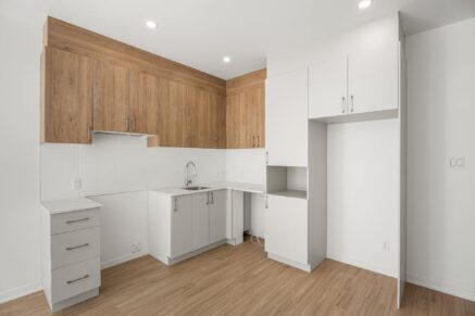 6840 Rue Marquette #6 Montréal (Rosemont/La Petite-Patrie) (Montréal)