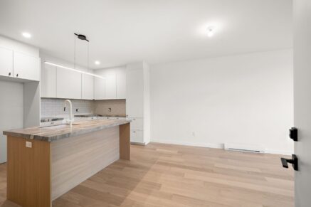 4719 Av. Papineau Montréal (Le Plateau-Mont-Royal) (Montréal)