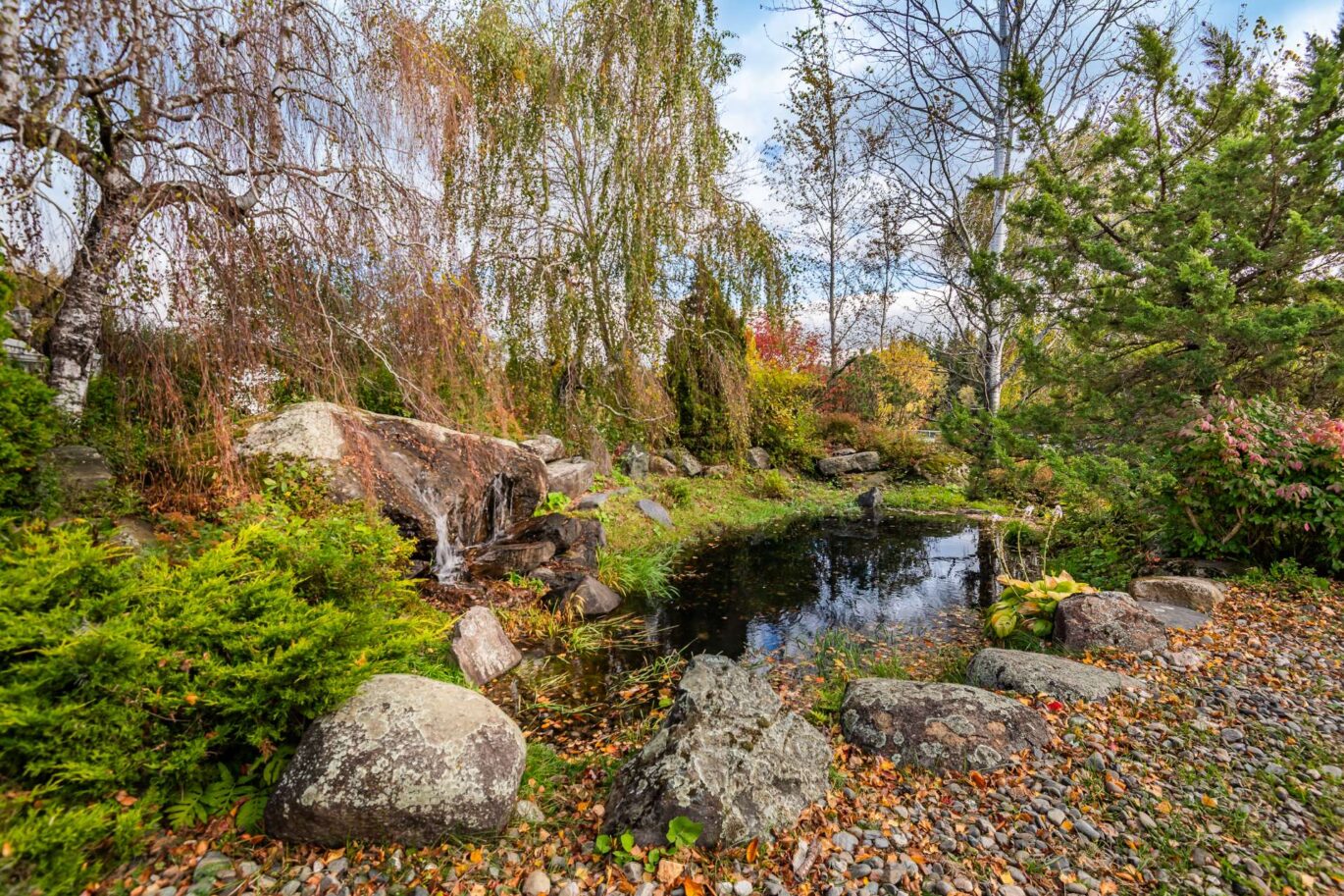 570 Ch. du Ruisseau Sainte-Catherine-de-Hatley (Estrie)