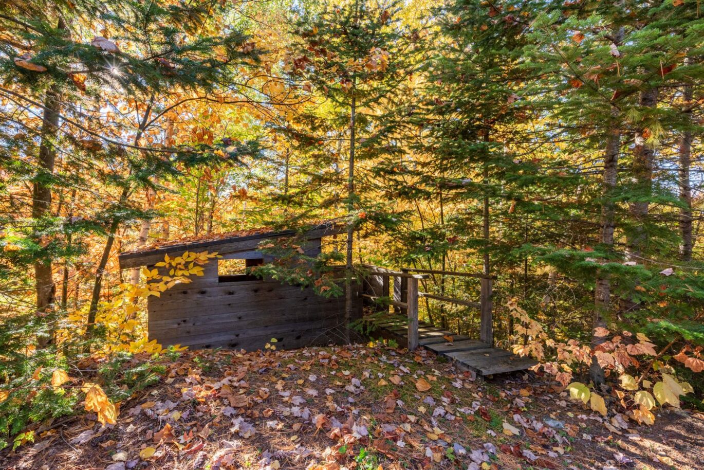 160 Av. du Lac-Marie-Josée Sainte-Béatrix (Lanaudière)
