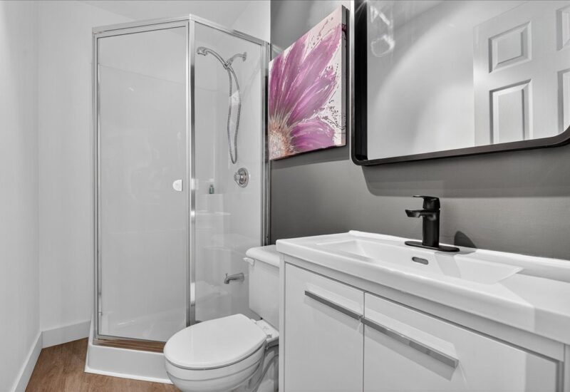 2306Z Rue Ste-Cunégonde Montréal (Le Sud-Ouest) (Montréal)