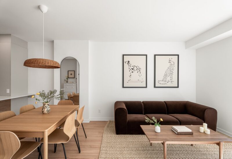 6848 Rue Marquette #5 Montréal (Rosemont/La Petite-Patrie) (Montréal)