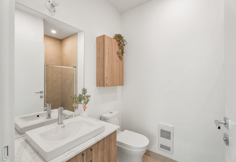 6848 Rue Marquette #5 Montréal (Rosemont/La Petite-Patrie) (Montréal)