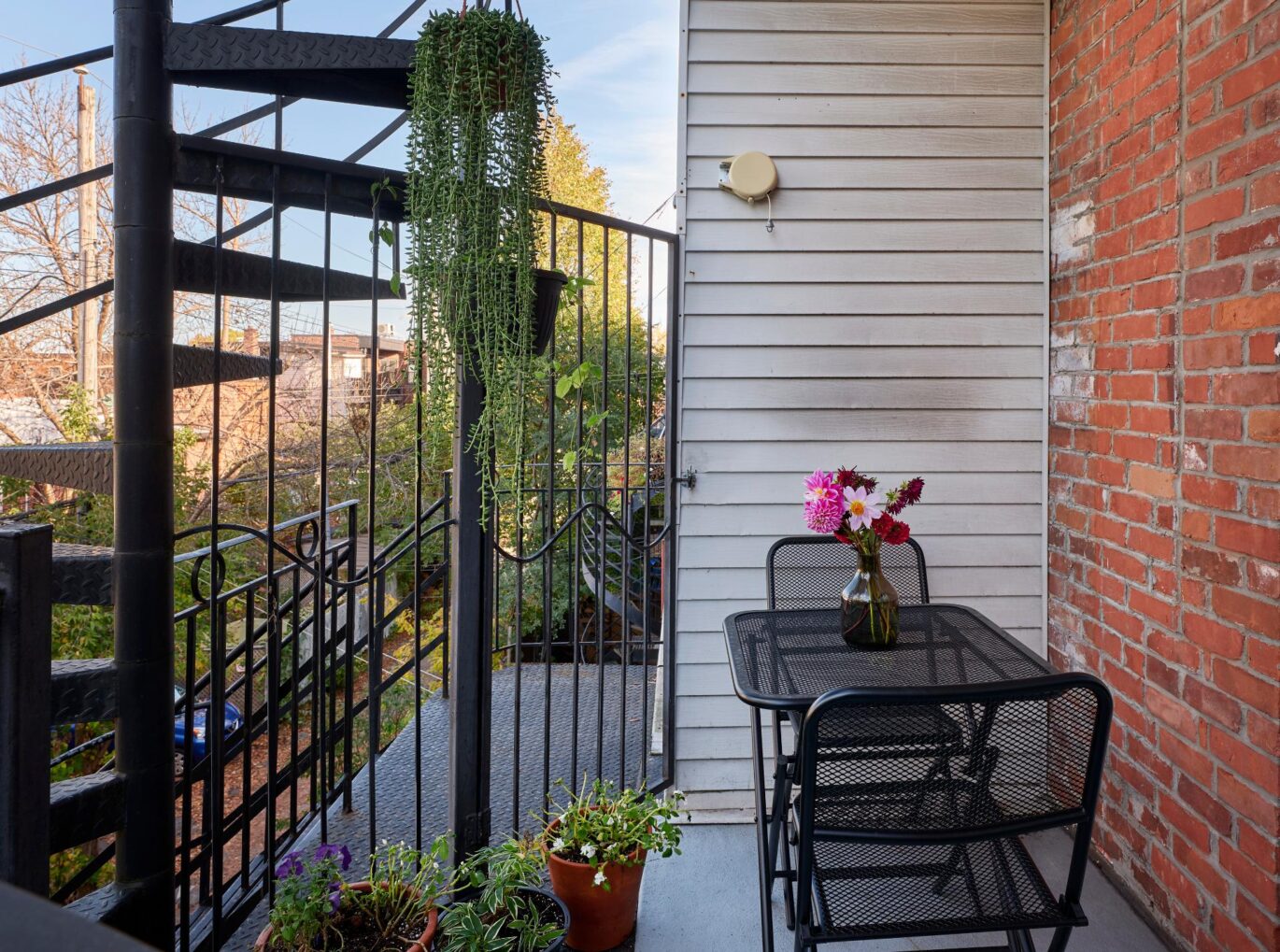 6535 Rue St-Dominique Montréal (Rosemont/La Petite-Patrie) (Montréal)