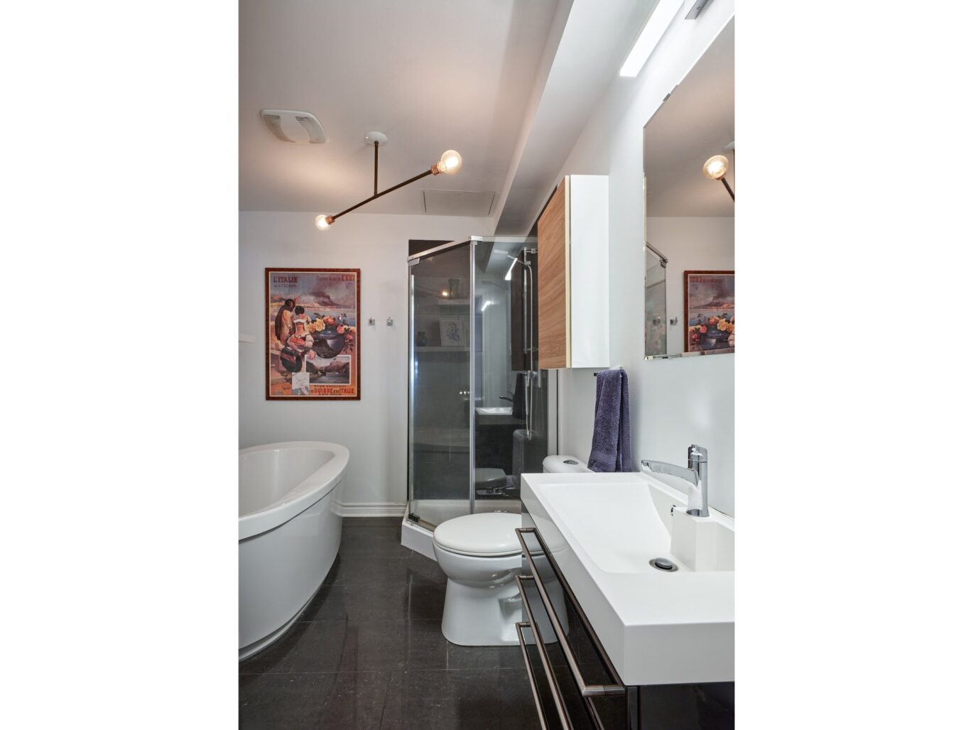 6535 Rue St-Dominique Montréal (Rosemont/La Petite-Patrie) (Montréal)