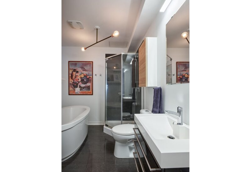 6535 Rue St-Dominique Montréal (Rosemont/La Petite-Patrie) (Montréal)