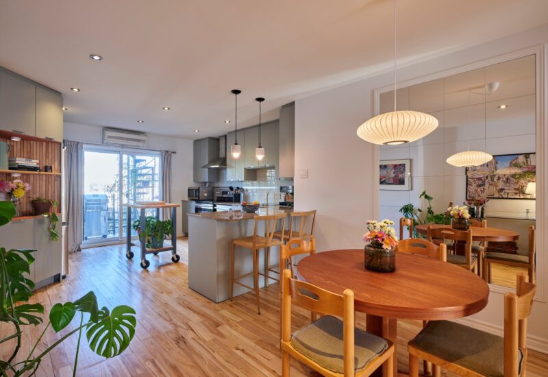 6535 Rue St-Dominique Montréal (Rosemont/La Petite-Patrie) (Montréal)