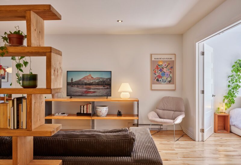 6535 Rue St-Dominique Montréal (Rosemont/La Petite-Patrie) (Montréal)