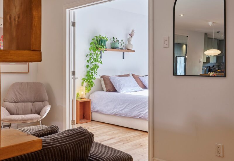 6535 Rue St-Dominique Montréal (Rosemont/La Petite-Patrie) (Montréal)