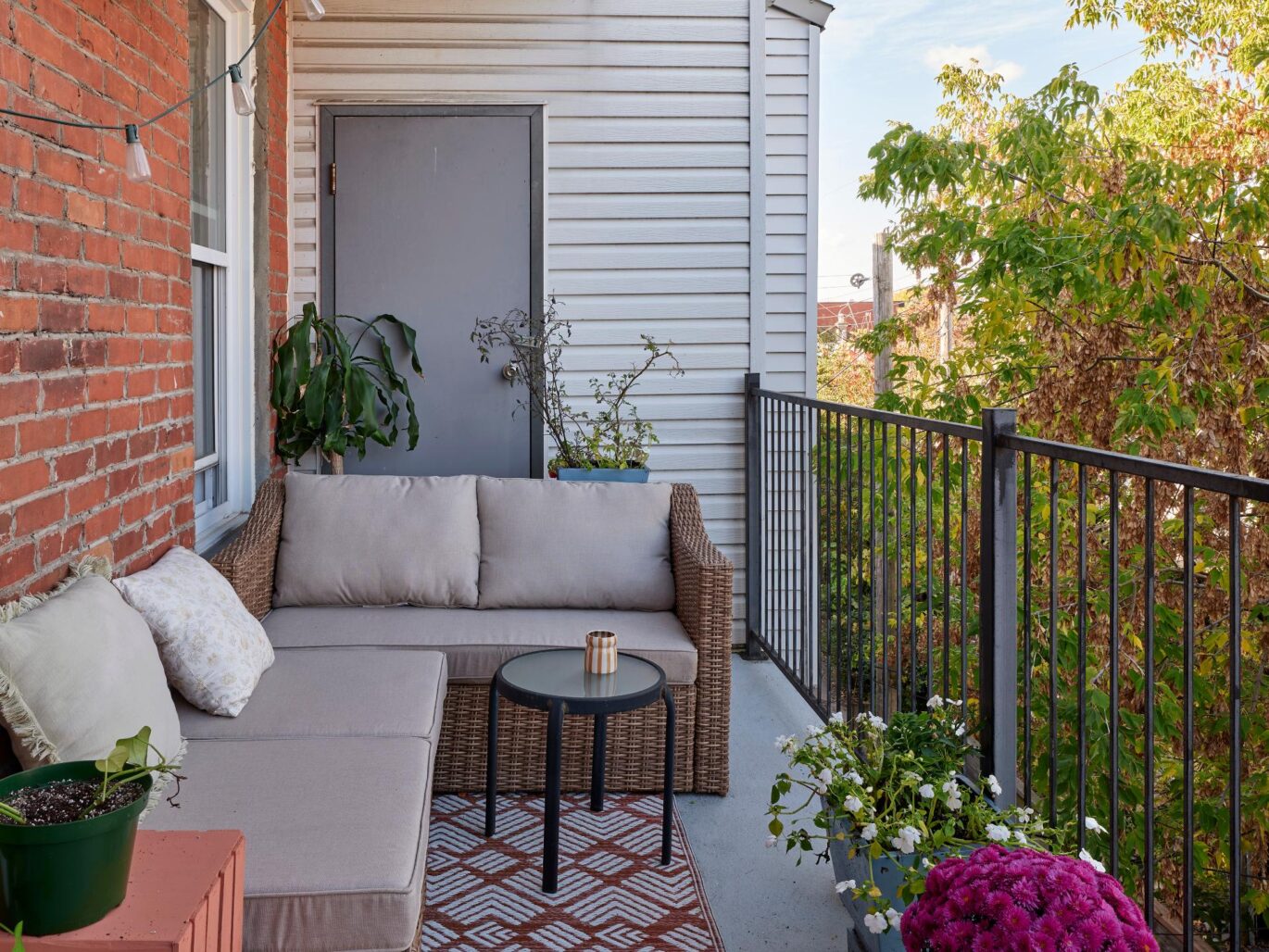6535 Rue St-Dominique Montréal (Rosemont/La Petite-Patrie) (Montréal)