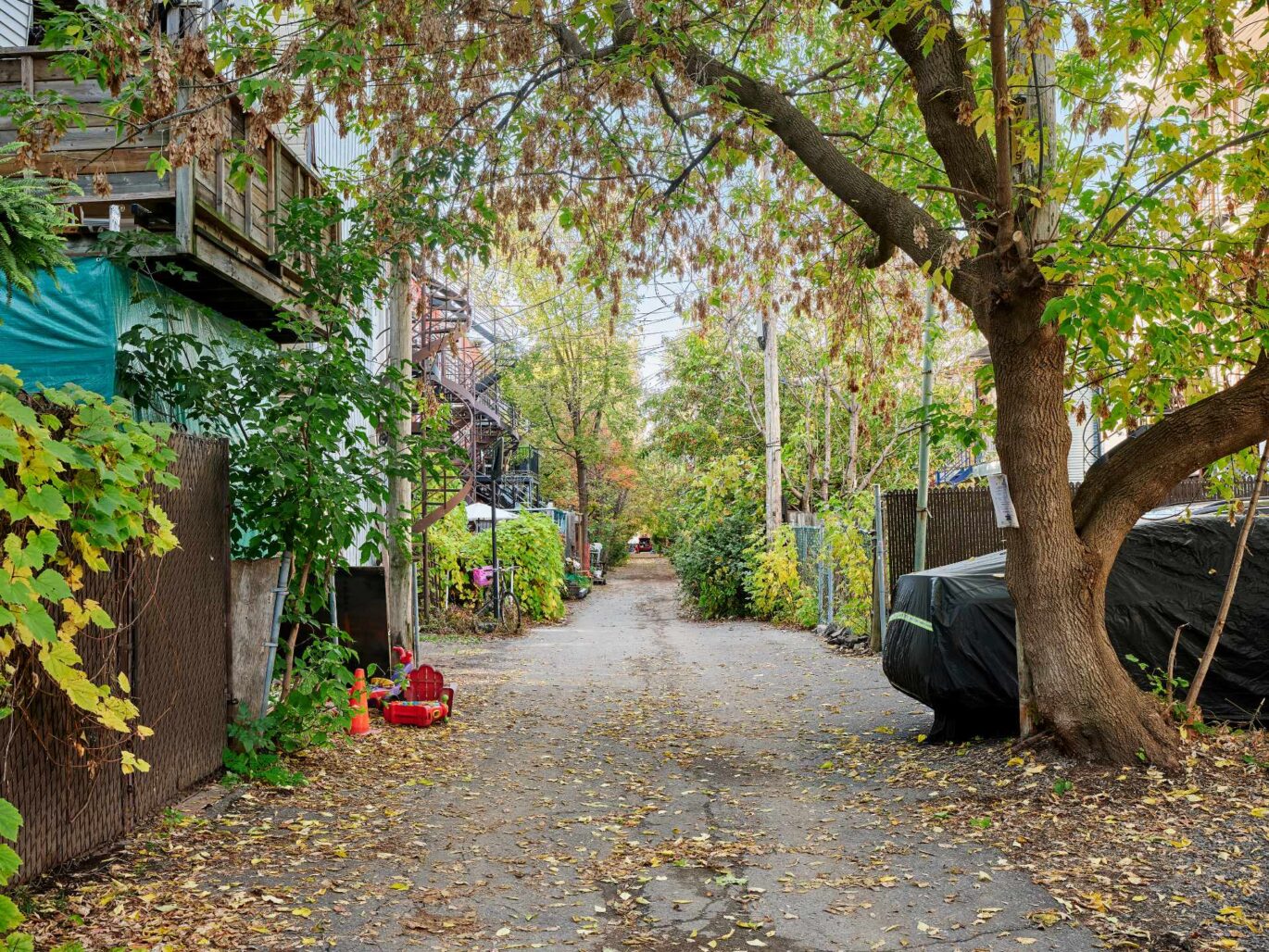 6535 Rue St-Dominique Montréal (Rosemont/La Petite-Patrie) (Montréal)