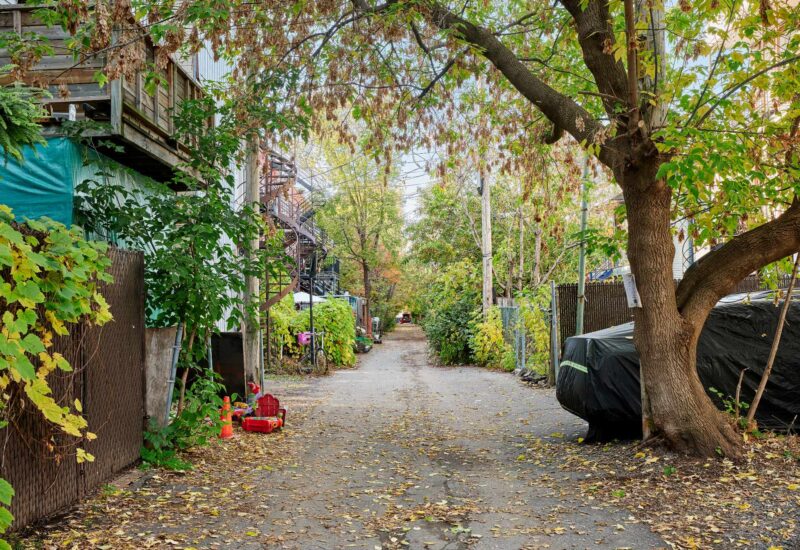 6535 Rue St-Dominique Montréal (Rosemont/La Petite-Patrie) (Montréal)