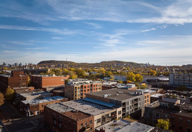 6535 Rue St-Dominique Montréal (Rosemont/La Petite-Patrie) (Montréal)
